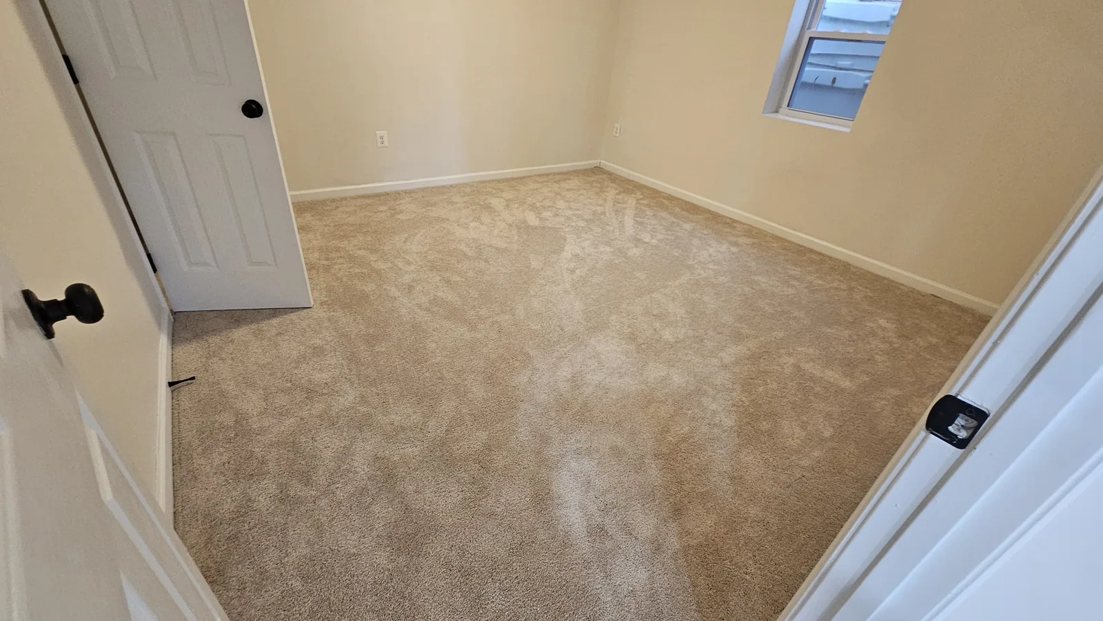 Cleaned bedroom carpet in an empty room