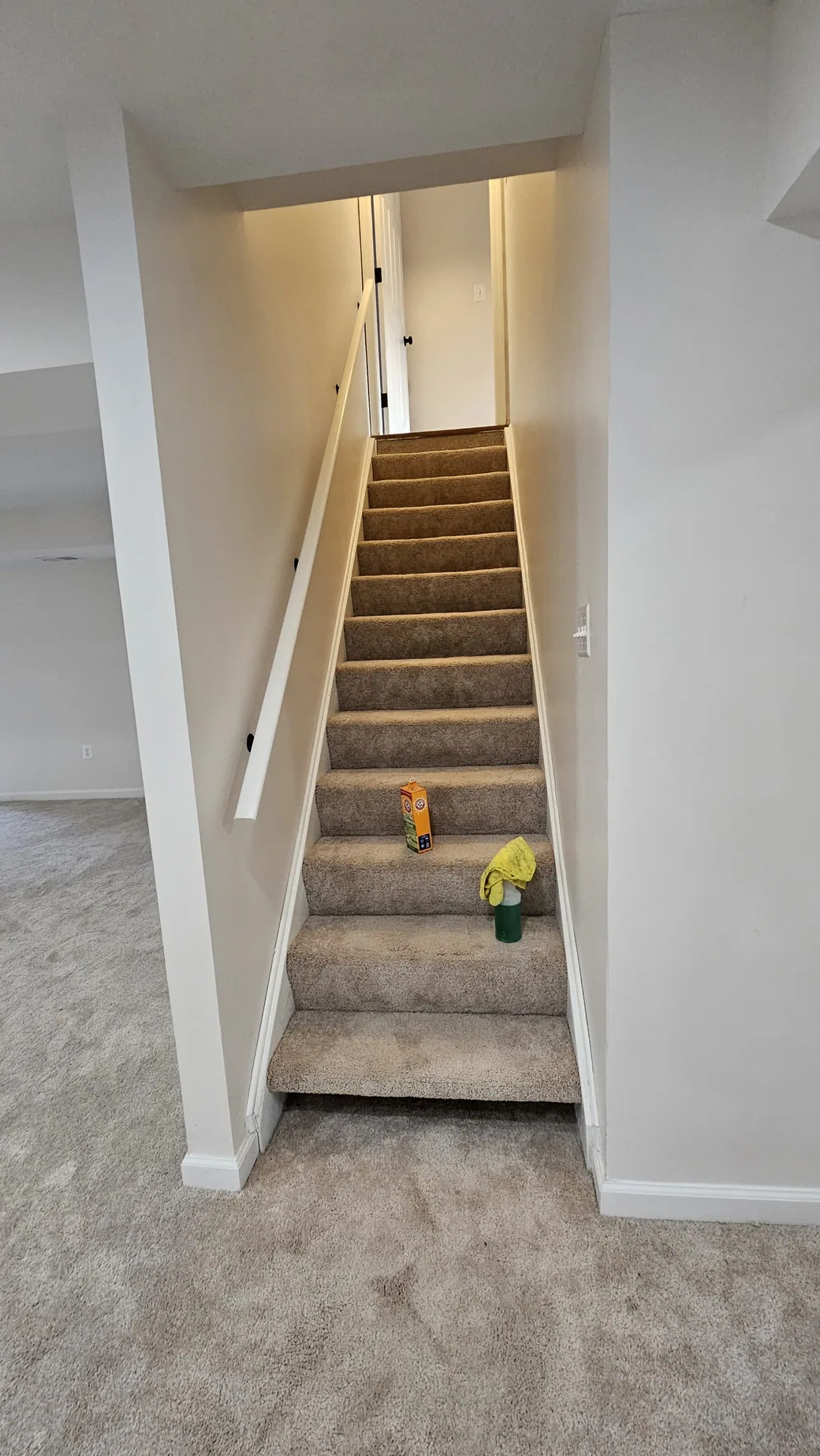 Carpeted stairs during cleaning preparation
