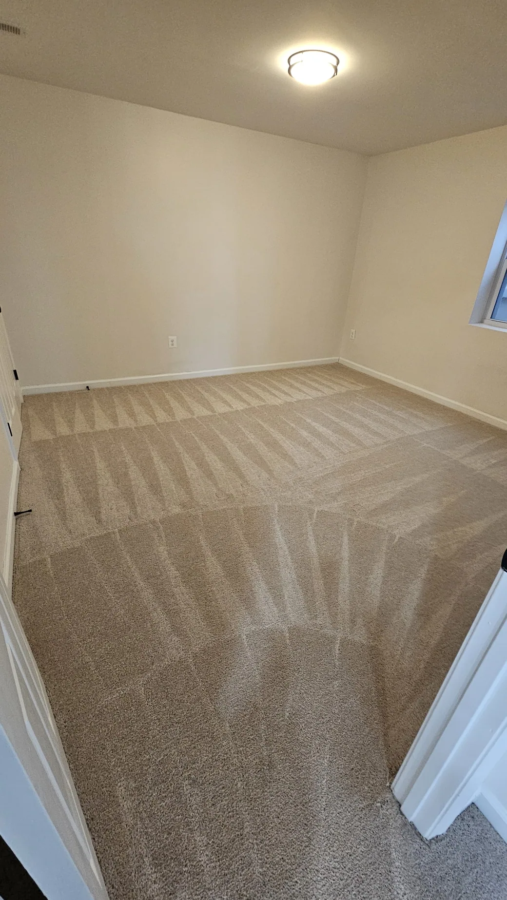 Bedroom carpet with fresh cleaning lines