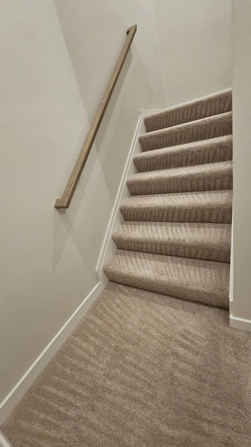 Cleaned stair carpet with detailed lines